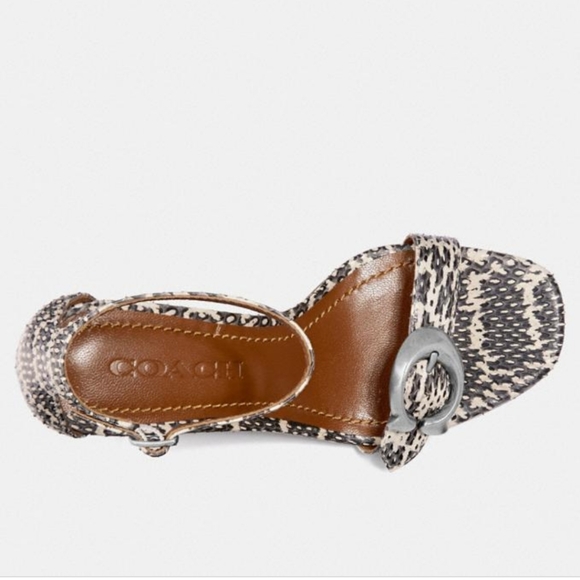Coach Maya Signature Buckle Snake Print Sandals - Picture 3 of 7